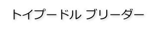 トイプードル ブリーダー